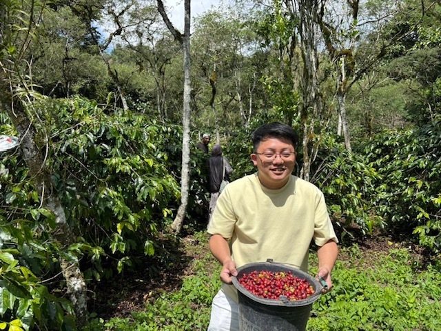 青農接班注入數位革新 TGC咖啡以六級產業化戰略拓展精品市場