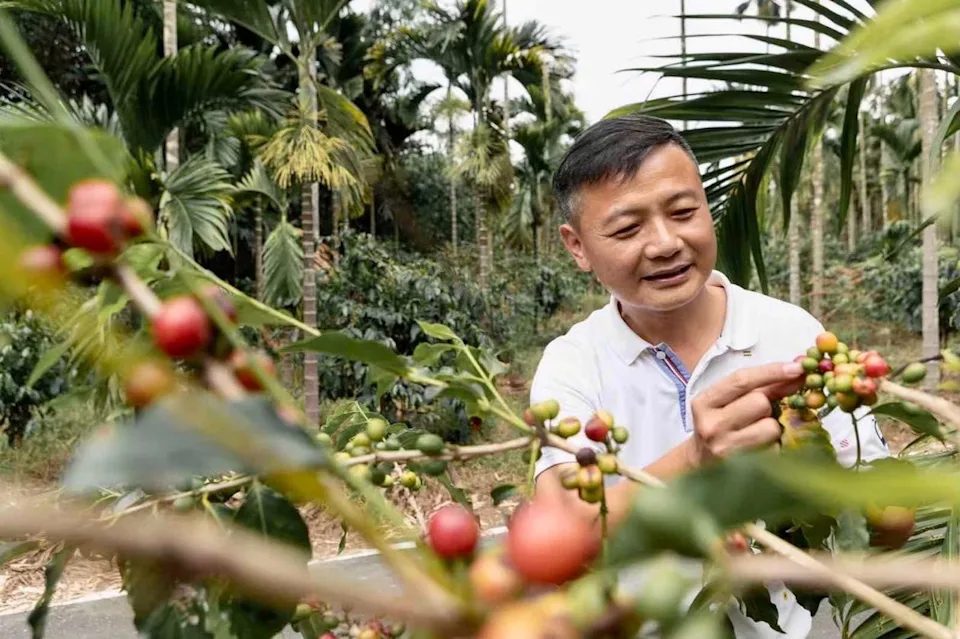 TGC咖啡莊園推動永續農業與環保友善栽培 打造咖啡產業新典範